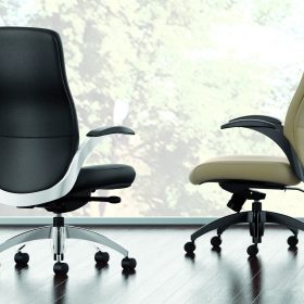 Aurora Executive