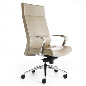 Insight Executive
