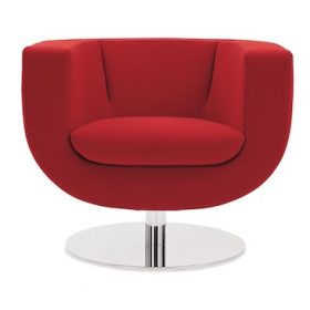 Tulip